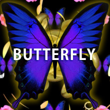 BUTTERFLY