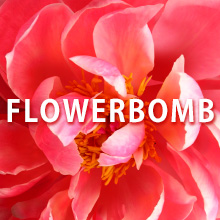 FLOWERBOMB